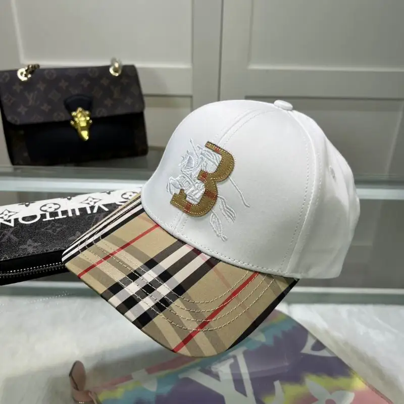 Burberry cap (100)